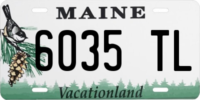 ME license plate 6035TL