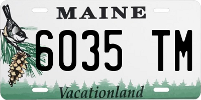ME license plate 6035TM