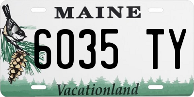 ME license plate 6035TY