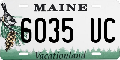 ME license plate 6035UC