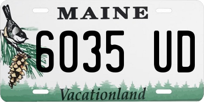 ME license plate 6035UD