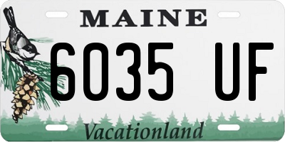 ME license plate 6035UF