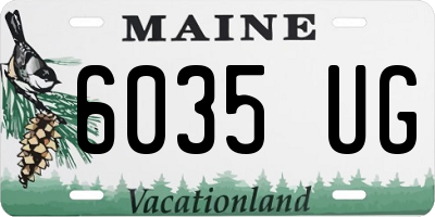 ME license plate 6035UG