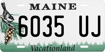 ME license plate 6035UJ