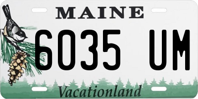 ME license plate 6035UM