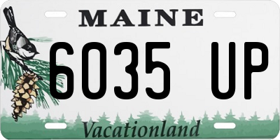 ME license plate 6035UP