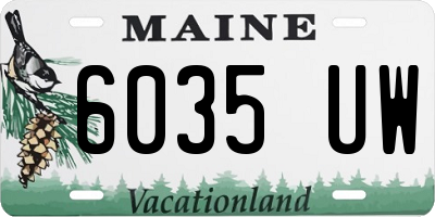 ME license plate 6035UW