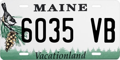 ME license plate 6035VB