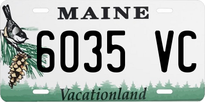 ME license plate 6035VC
