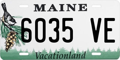 ME license plate 6035VE