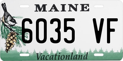 ME license plate 6035VF