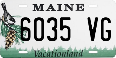 ME license plate 6035VG