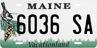 ME license plate 6036SA