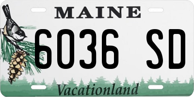 ME license plate 6036SD