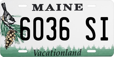 ME license plate 6036SI