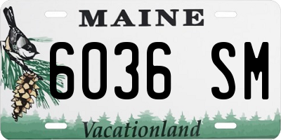 ME license plate 6036SM