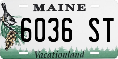 ME license plate 6036ST