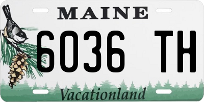 ME license plate 6036TH