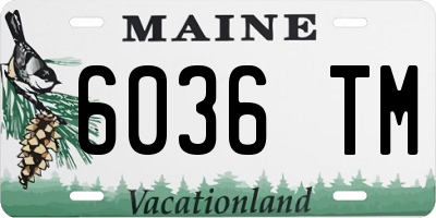 ME license plate 6036TM