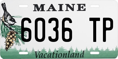 ME license plate 6036TP