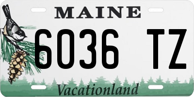 ME license plate 6036TZ