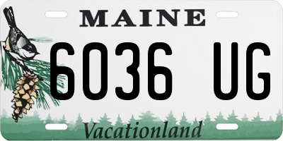 ME license plate 6036UG