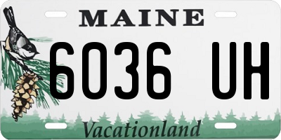 ME license plate 6036UH