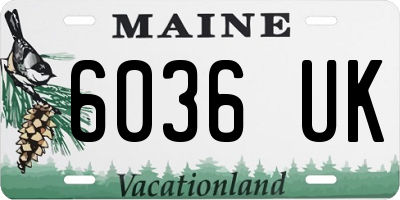 ME license plate 6036UK