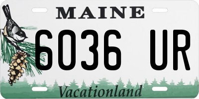 ME license plate 6036UR