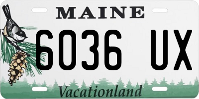 ME license plate 6036UX