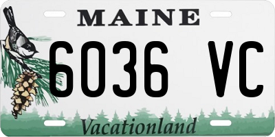 ME license plate 6036VC