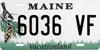 ME license plate 6036VF