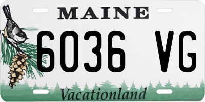 ME license plate 6036VG