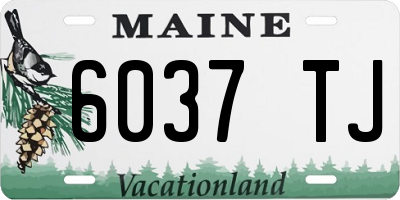 ME license plate 6037TJ