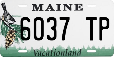 ME license plate 6037TP