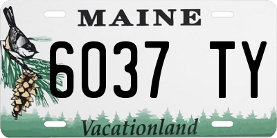 ME license plate 6037TY