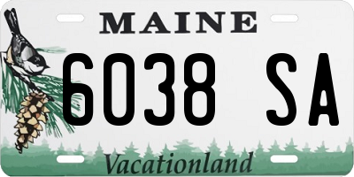 ME license plate 6038SA