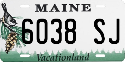 ME license plate 6038SJ