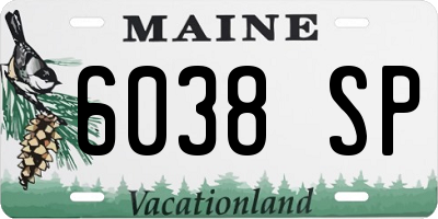 ME license plate 6038SP