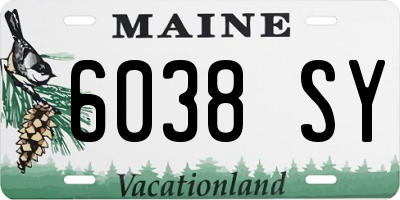 ME license plate 6038SY