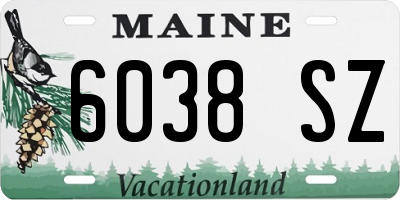 ME license plate 6038SZ