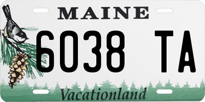 ME license plate 6038TA