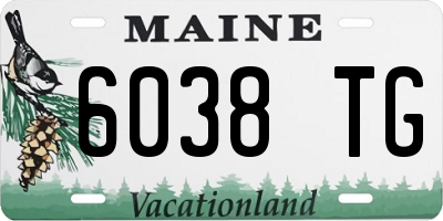 ME license plate 6038TG