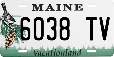 ME license plate 6038TV