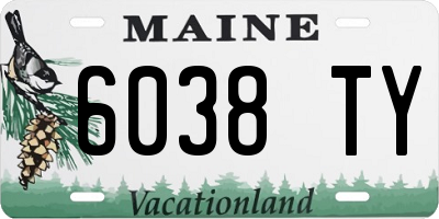 ME license plate 6038TY