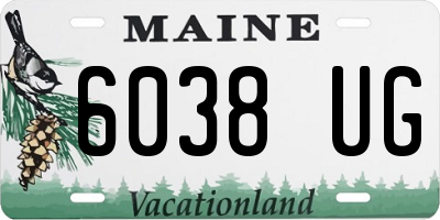 ME license plate 6038UG