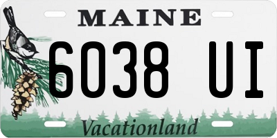 ME license plate 6038UI