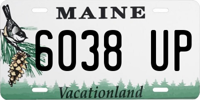 ME license plate 6038UP