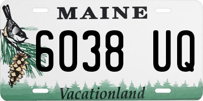 ME license plate 6038UQ