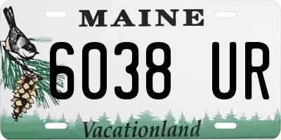 ME license plate 6038UR